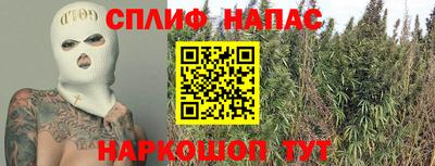 соль ск Кингисепп