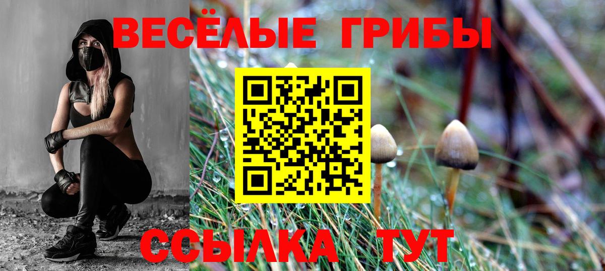 Галлюциногенные грибы Magic Shrooms Чебоксары