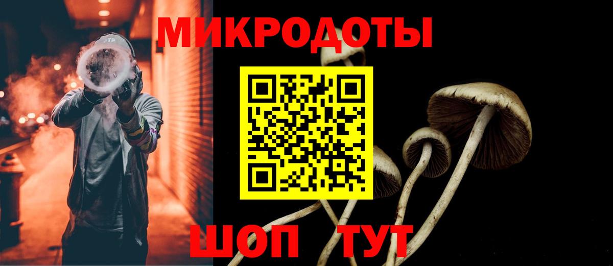 Галлюциногенные грибы прущие грибы  Вход с VPN  Псилоцибиновые грибы ЛСД  где купить наркотик  Чебоксары 